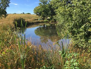 Gite-pompadour-correze-petite-brunie-vtt-etang-crouzillac